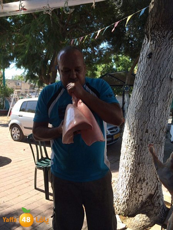 dabe7 ludj31 (54).jpg